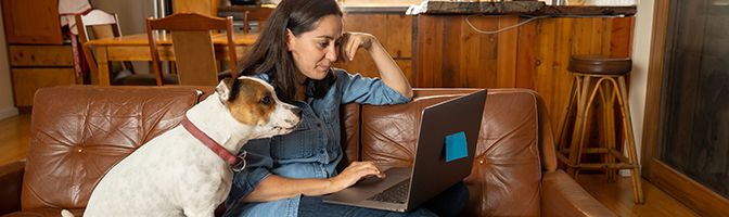 A person sitting on a brown couch with a dog looking at a laptop.