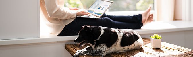 Woman working on a laptop sitting by the window while a dog lays next to her.