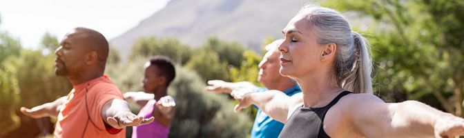 group of people performing yoga