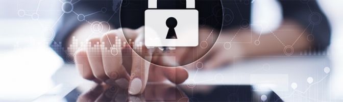 How to Protect Your Company from Cybertheft