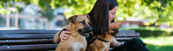 woman-with-dogs-at-park