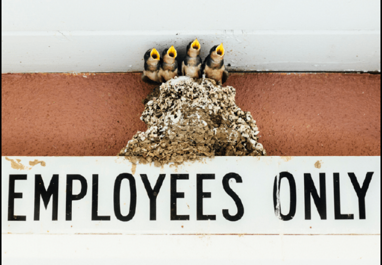 You’ve Hired Great Employees. Now How Do You Keep Them?