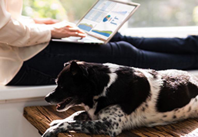 Woman working on a laptop sitting by the window while a dog lays next to her.